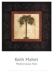 Mediterranean Palm | Obraz na stenu