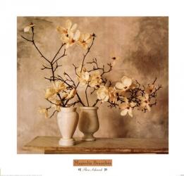 Magnolia Branches | Obraz na stenu