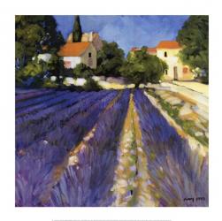 Lavender Fields | Obraz na stenu