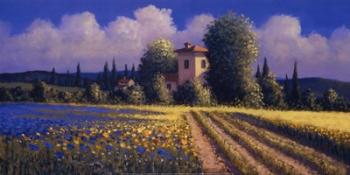 Summer Fields II | Obraz na stenu