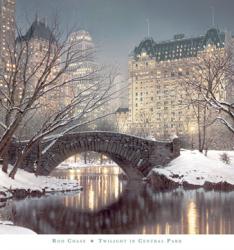 Twighlight in Central Park