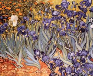 Irises in the Garden, Saint-Remy, c.1889 | Obraz na stenu