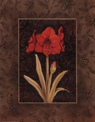 Damask Amaryllis | Obraz na stenu