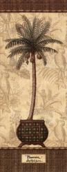 Botanical Palm II - Mini | Obraz na stenu