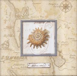 Sea Treasure III | Obraz na stenu