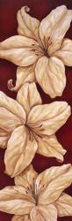 Bella Grande Lilies | Obraz na stenu