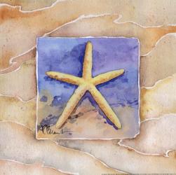 Starfish | Obraz na stenu