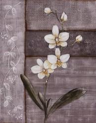 Orchid Shimmer I | Obraz na stenu