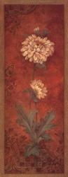 Chrysanthemum | Obraz na stenu
