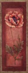 Red Door Poppy | Obraz na stenu