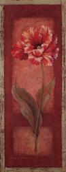 Red Door Tulip | Obraz na stenu