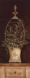 Olive Topiary II - Mini | Obraz na stenu