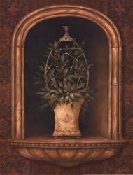 Olive Topiary Niches I - Mini | Obraz na stenu