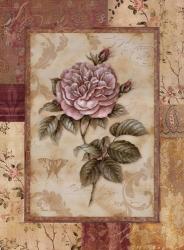 Provence Rose II | Obraz na stenu