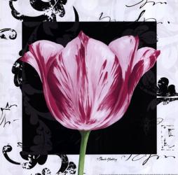 Damask Tulip I | Obraz na stenu