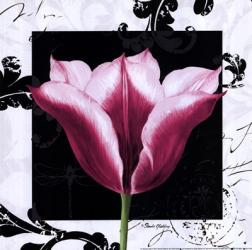 Damask Tulip III | Obraz na stenu