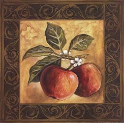 Apple Orchard | Obraz na stenu