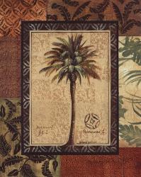 Palmaceae I | Obraz na stenu