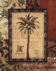 Palmaceae II | Obraz na stenu