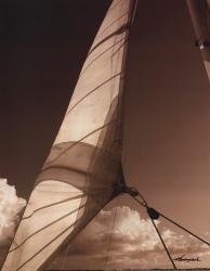 Windward Sail II | Obraz na stenu