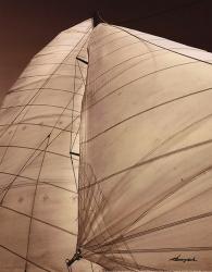 Windward Sail III | Obraz na stenu