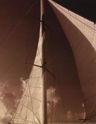 Windward Sail IV | Obraz na stenu
