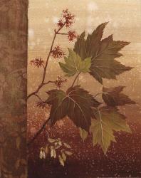Maple Leaves | Obraz na stenu