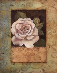 Antique Rose I | Obraz na stenu