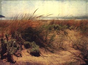 Sand Dunes I | Obraz na stenu