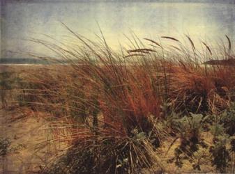 Sand Dunes II | Obraz na stenu