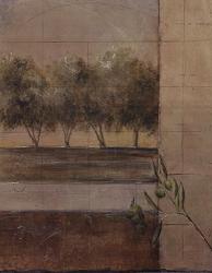 Olive Groves II - CS | Obraz na stenu