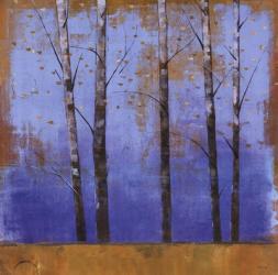 Birch Trees I | Obraz na stenu