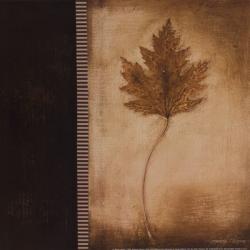Maple Leaves 1 | Obraz na stenu