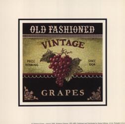 Vintage Grapes - Special | Obraz na stenu