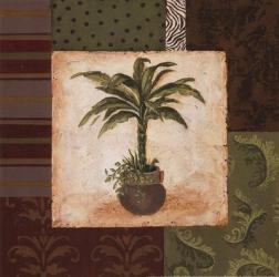 Potted Palm II | Obraz na stenu