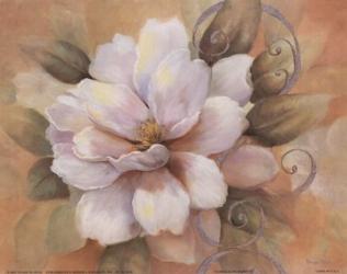 Camellia On Honey II | Obraz na stenu