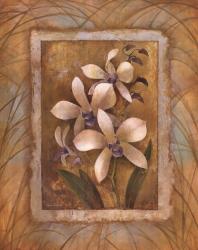 Illuminated Orchid I | Obraz na stenu