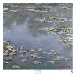 Waterlilies | Obraz na stenu