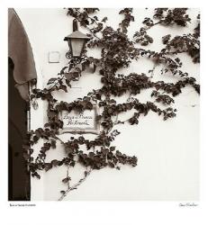 Buca Di Bacco, Ristorante | Obraz na stenu