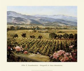 Vineyards to Vaca Mountains | Obraz na stenu
