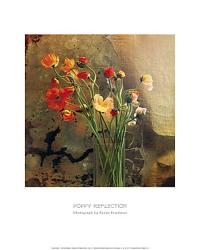 Poppy Reflection | Obraz na stenu