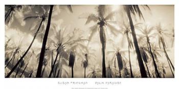Palm Paradise | Obraz na stenu