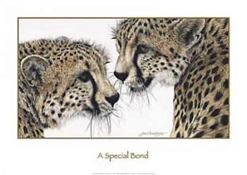 A Special Bond | Obraz na stenu
