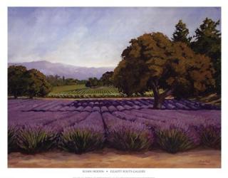 Lavender Fields | Obraz na stenu
