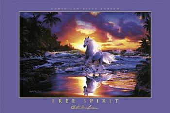 Free Spirit [foil] | Obraz na stenu