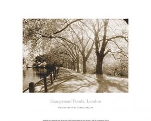 Hampstead Ponds, London | Obraz na stenu