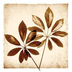 Cassava Leaves | Obraz na stenu