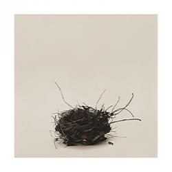 Leebas Nest | Obraz na stenu
