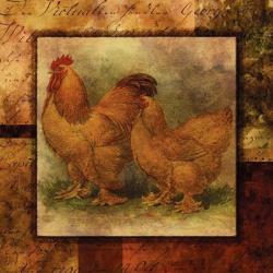 Hen And Rooster II | Obraz na stenu