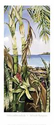 Palms and Bromeliads | Obraz na stenu